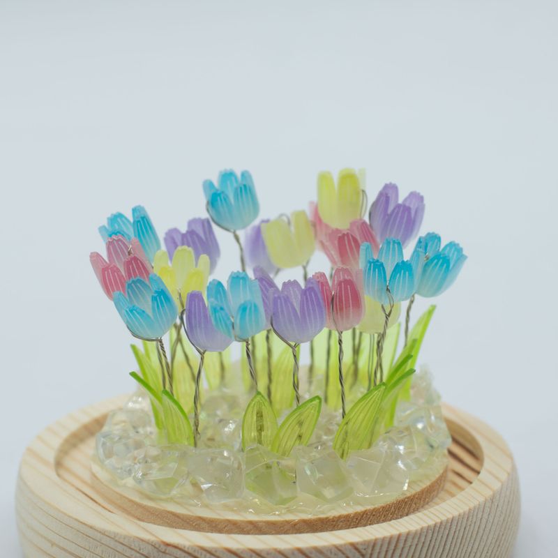 Dôme Jardin Floral - 20 Tulipes Multicolores - LED USB