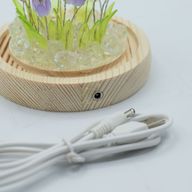 Dôme Jardin Floral - 20 Tulipes Multicolores - LED USB