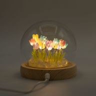 Dôme Jardin Floral - 20 Tulipes Multicolores - LED USB