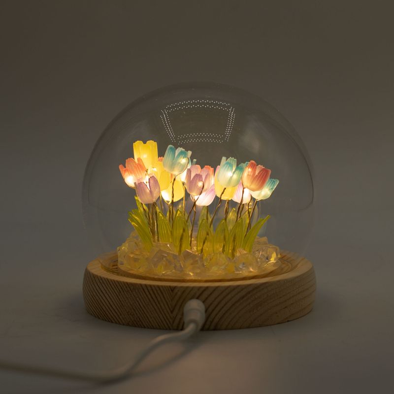 Dôme Jardin Floral - 20 Tulipes Multicolores - LED USB