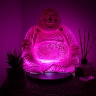 Lampe du Bouddha rieur - Fruit du dragon - Support rond
