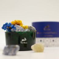 Cristaux Diffuseurs Hop Hare® & Ensemble Floral – Le Soleil – Sodalite