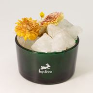 Cristaux Diffuseurs Hop Hare & Ensemble Floral – Le Lion – Cristal de Roche