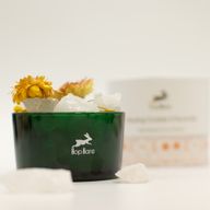 Cristaux Diffuseurs Hop Hare & Ensemble Floral – Le Lion – Cristal de Roche