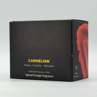 Tablette de Fondant de Cire Melt Eaze – Orange Épicée & Cornaline – 50 g