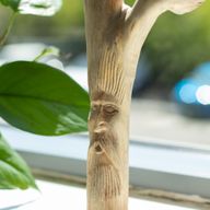 Sculpture en bois parasite naturel - Greenman
