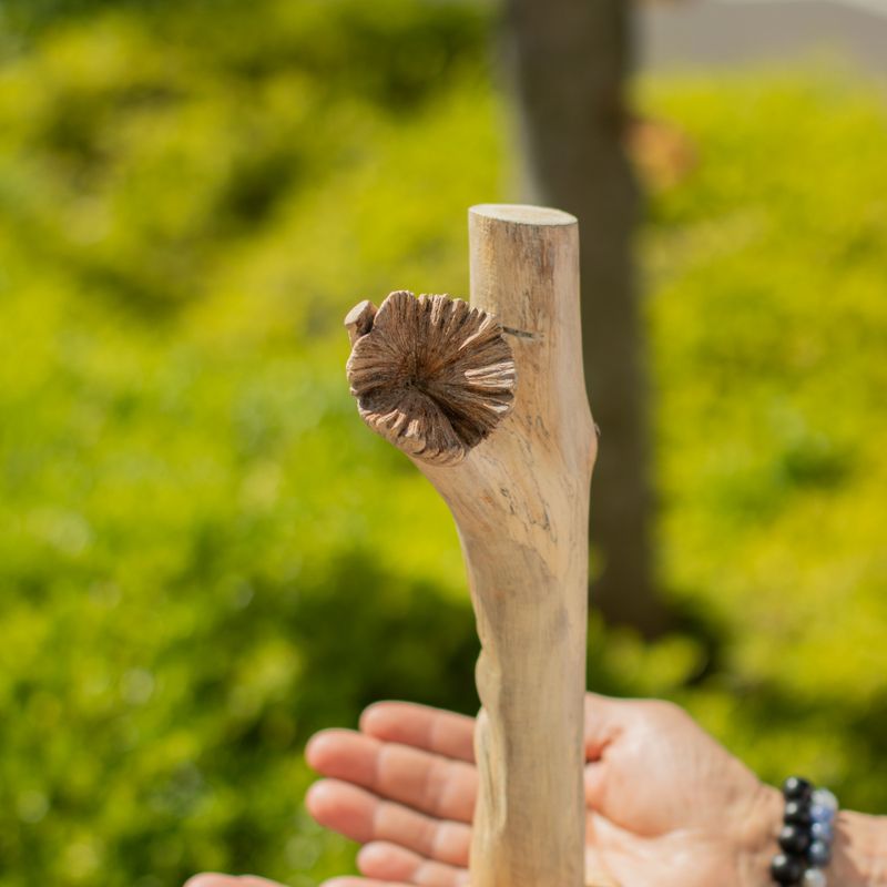 Sculpture en bois parasite naturel - Greenman