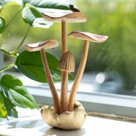 Sculpture en Bois Parasite Composée de 4 Gros Champignons