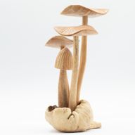 Sculpture en Bois Parasite Composée de 4 Gros Champignons