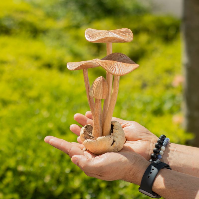 Sculpture en Bois Parasite Composée de 4 Gros Champignons