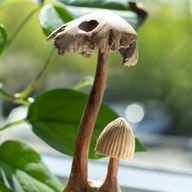 Sculpture Artisanale en Bois Parasite – Duo de Champignons