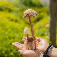 Sculpture Artisanale en Bois Parasite – Duo de Champignons
