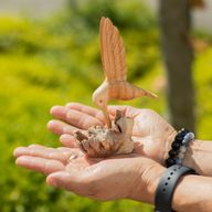 Sculpture Artisanale en Bois Parasite – Colibri Butinant