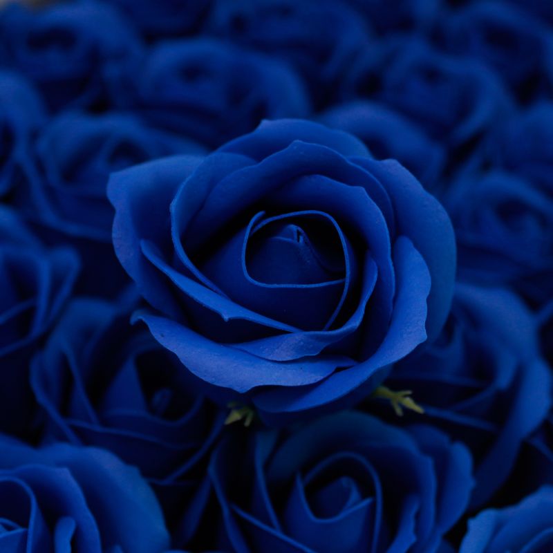 Roses de Savon  pour Bouquet- Medium/Indigo