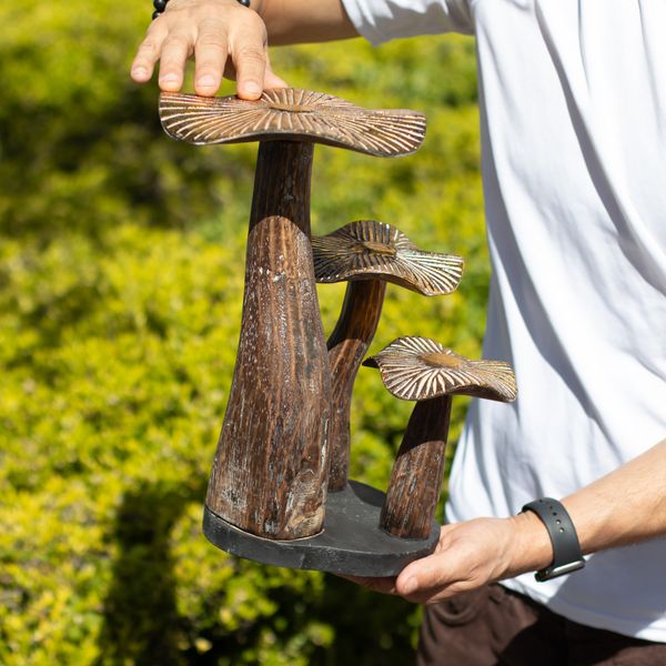 Sculpture Champignons Dorés en Bois – Finition Naturelle – Grand (32 × 25 cm)