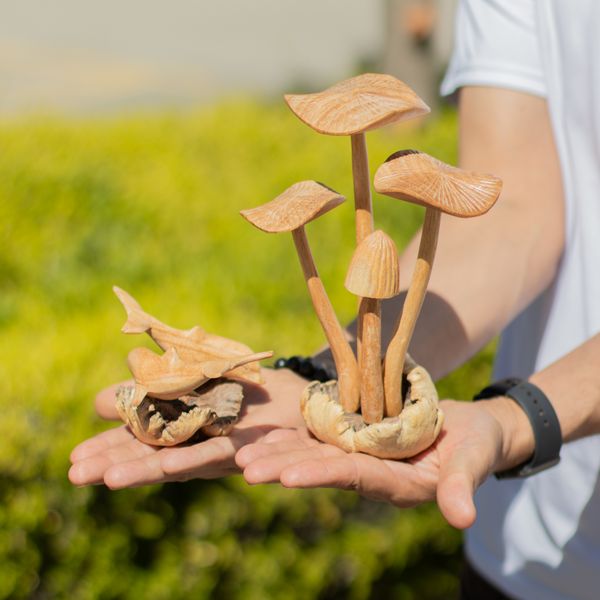 Parasite sculptures en bois artistiques