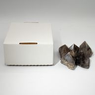 Points gemmes polies en vrac - Quartz fumé (env. 5-6 pièces)