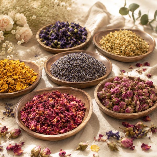 Fleurs & Plantes Séchées