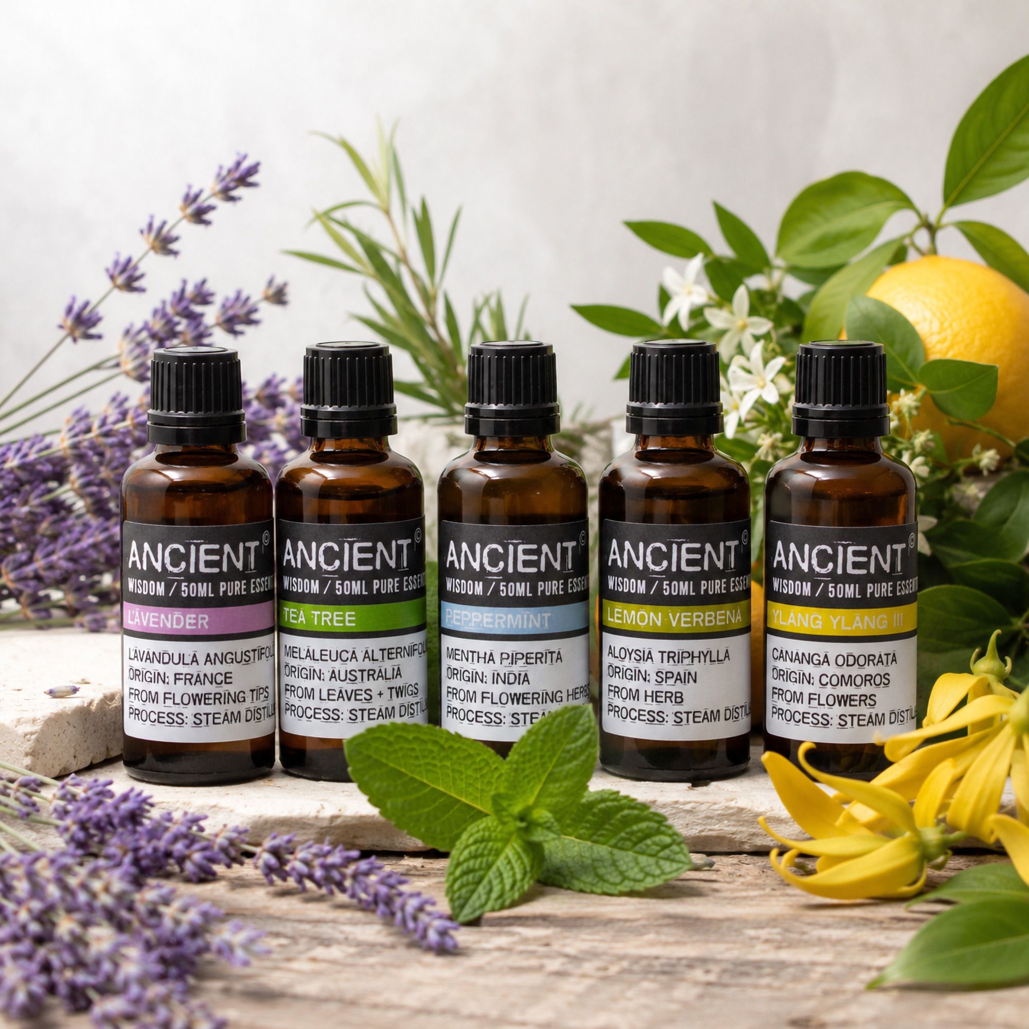 Huiles Essentielles 100 % Pures – 50 ml