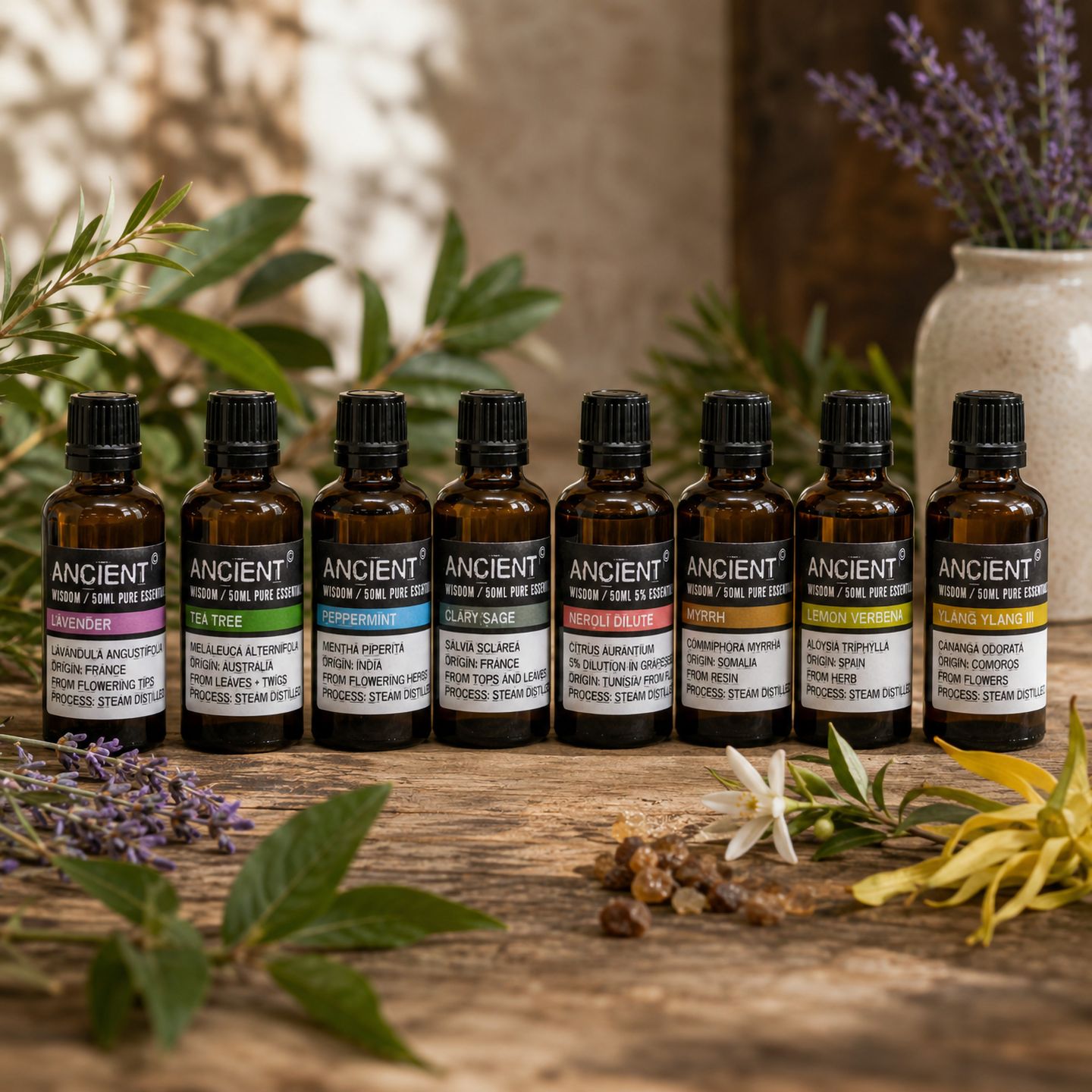 Huiles Essentielles 100 % Pures – 50 ml