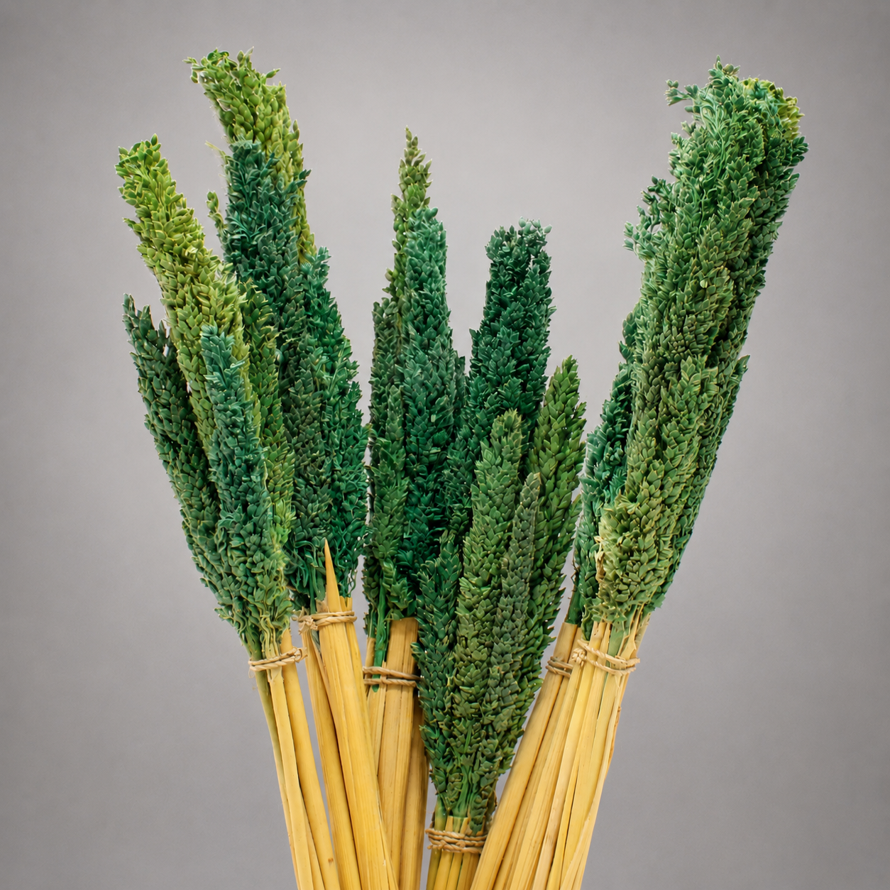Bouquet d'Herbe de Cantal
