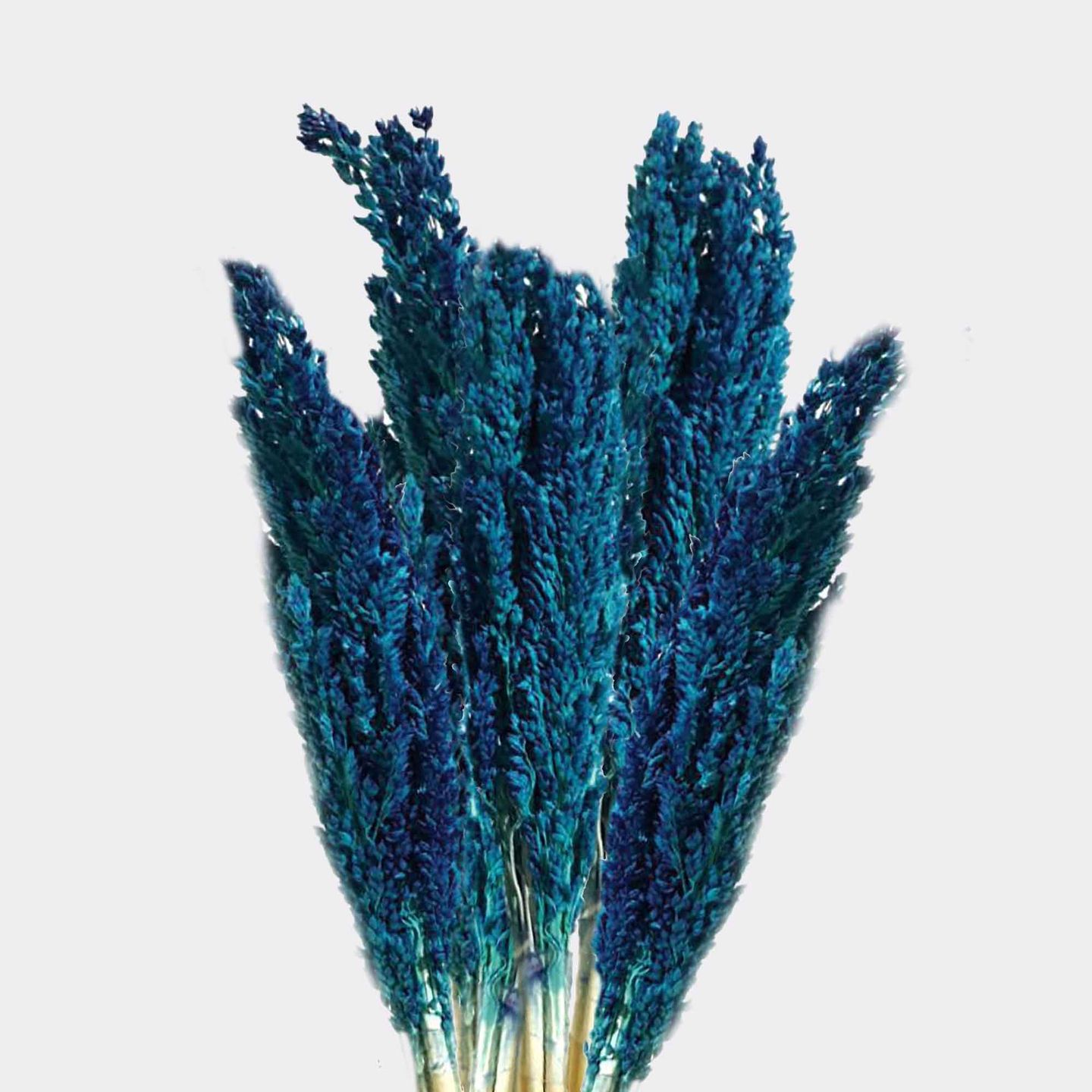 Bouquet d'Herbe de Cantal