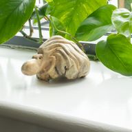 Sculpture en bois artisanale Parasite - Pieuvre gardienne de l'océan