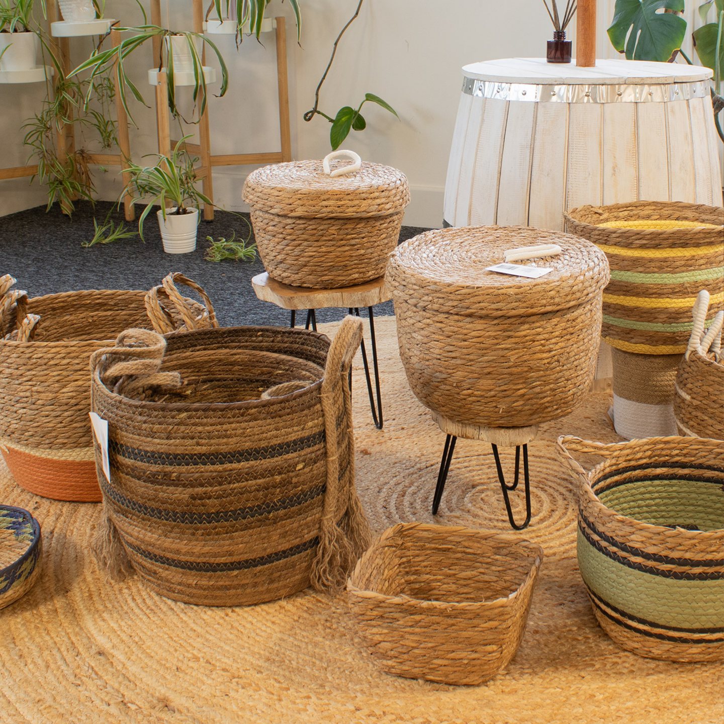 Paniers Naturels en Jonc de Mer & Fibres Végétales
