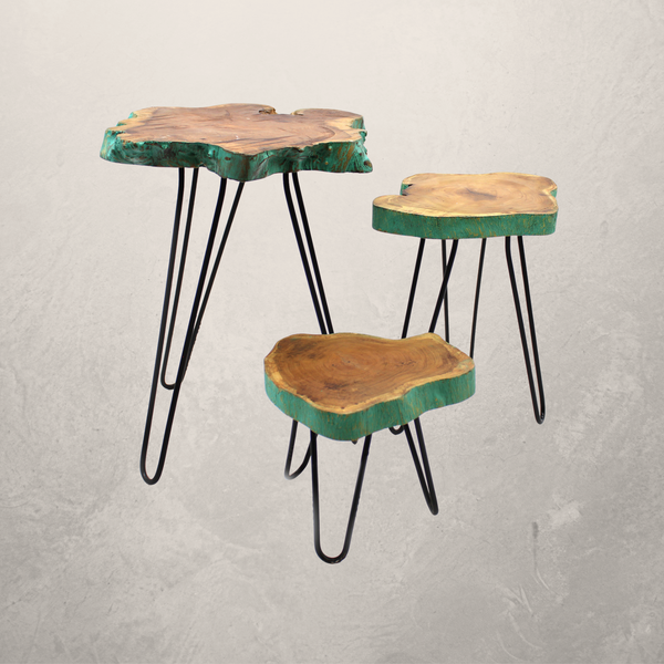 Ensemble de Supports pour Plante en Bois