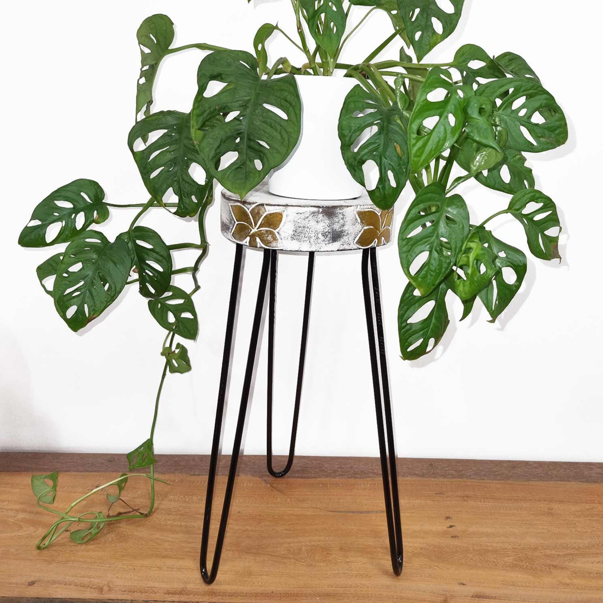 Support pour Plante en Bois d'Albasia