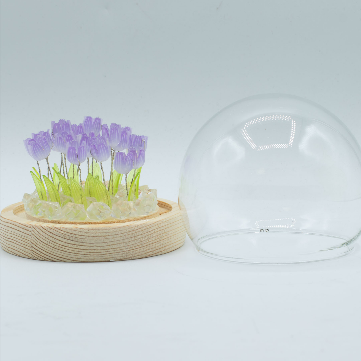Dômes Jardin Floraux Led