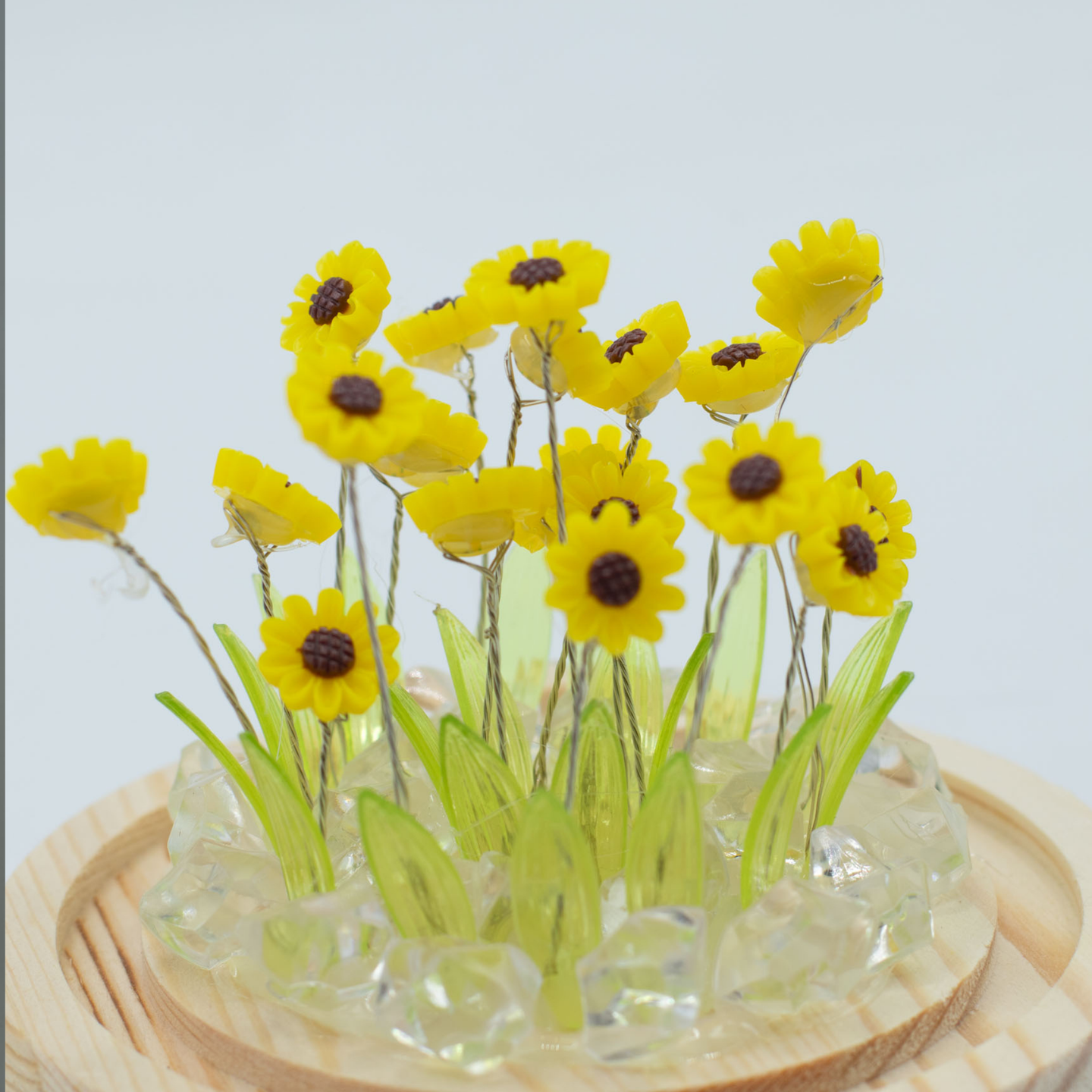 Dômes Jardin Floraux Led