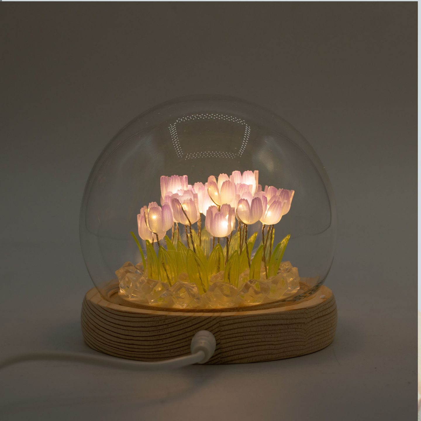 Dômes Jardin Floraux Led