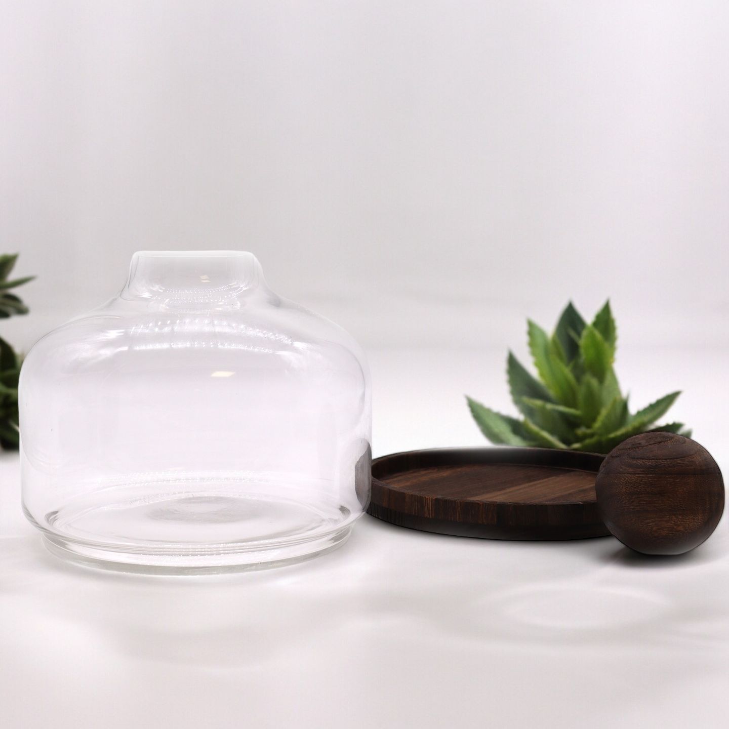 Terrariums en Verre Décoratifs sur Bois & Formes Géométriques