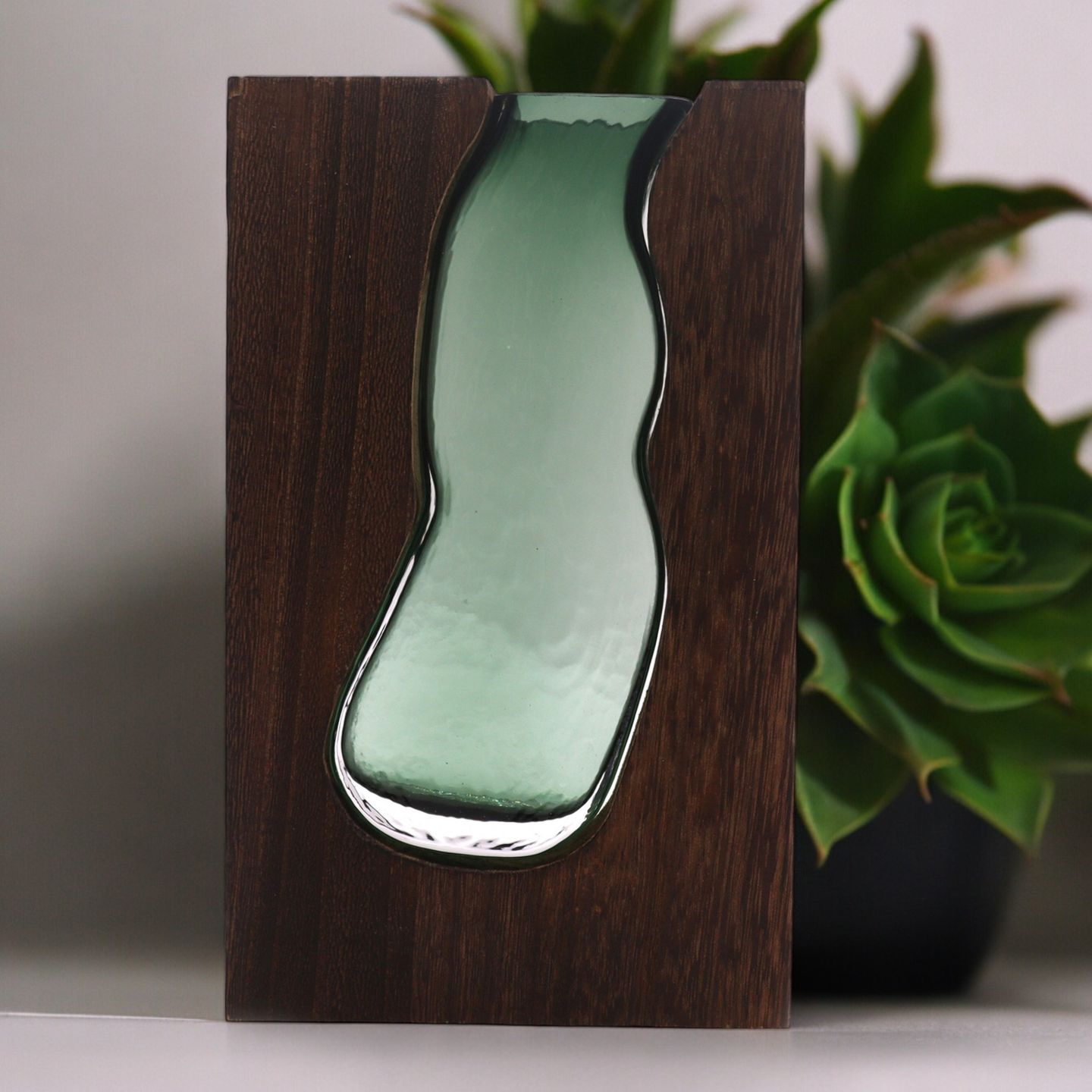 Terrariums en Verre Décoratifs sur Bois & Formes Géométriques