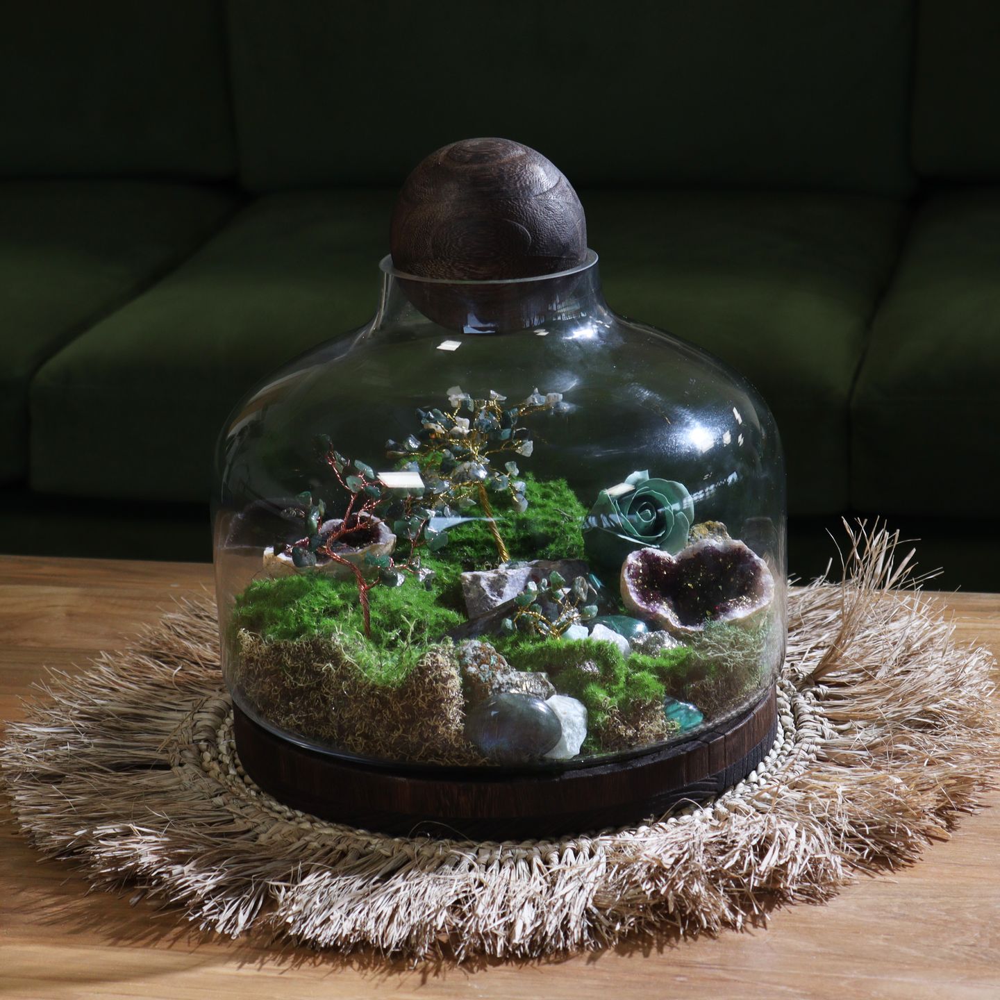 Terrariums en Verre Décoratifs sur Bois & Formes Géométriques