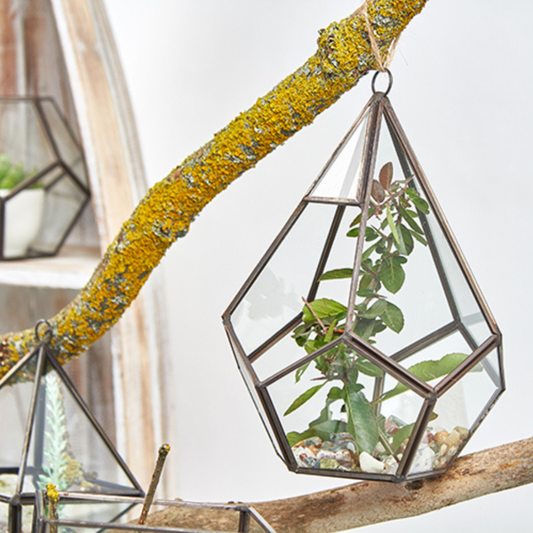 Terrariums en Verre Décoratifs sur Bois & Formes Géométriques