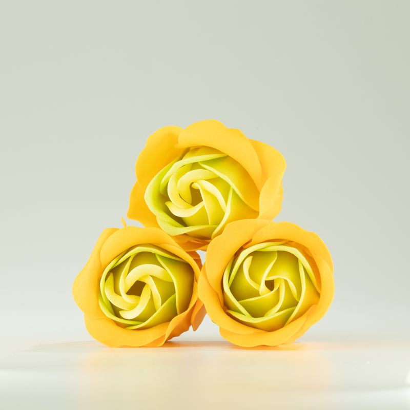 Boîte de 3 fleurs de savon - Roses printanières