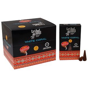 Kit de démarrage d'encens Tribal Soul