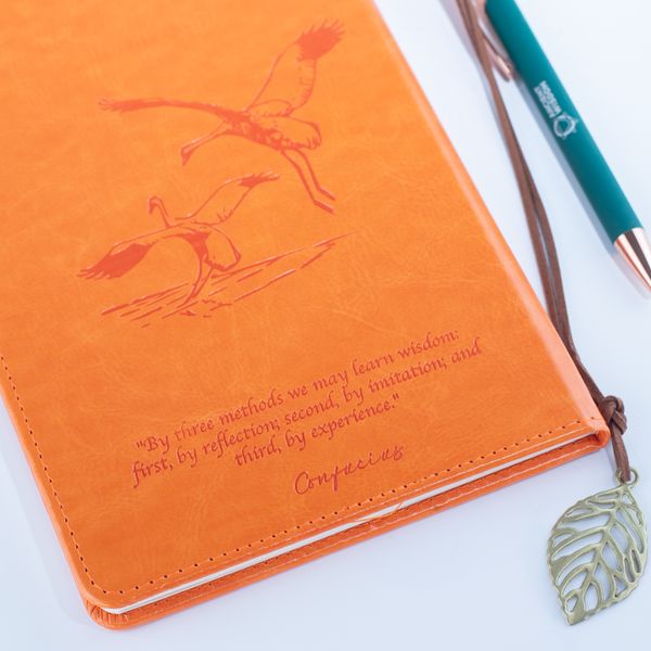 Carnet d’intentions A5 – Écran LCD effaçable – Effet cuir orange – 80 feuilles