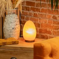 Lampe de sel œuf - base en bois