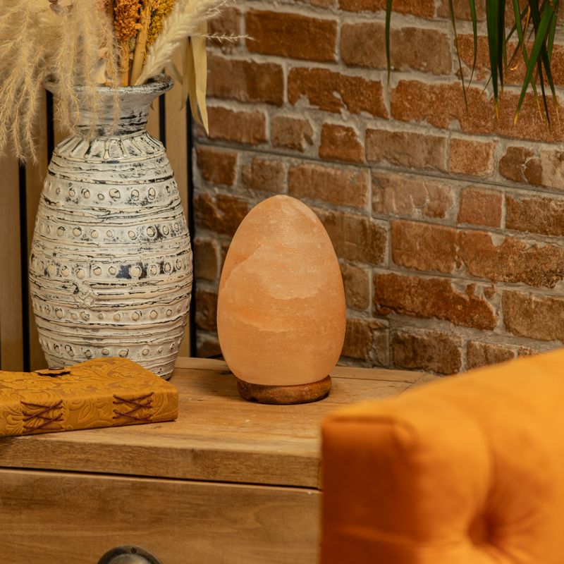 Lampe de sel œuf - base en bois