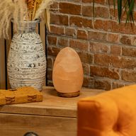 Lampe de sel œuf - base en bois