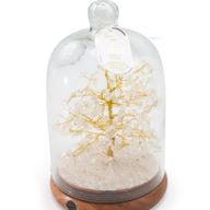 Dôme de jardin en pierres naturelles - Cristal de roche et lumières LED - 200 éclats de pierre