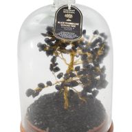 Dôme de jardin en pierres naturelles - Tourmaline noire et lumières LED - 200 éclats de pierre