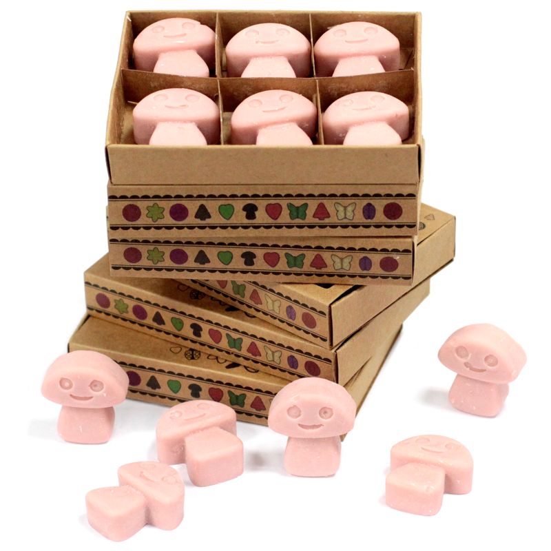 Pack de démarrage de fondants de cire de soja naturelle avec présentoir à 4 niveaux