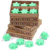 Pack de démarrage de fondants de cire de soja naturelle avec présentoir à 4 niveaux