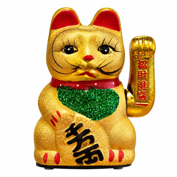 Chat Chinois Chat Chinois Classique
