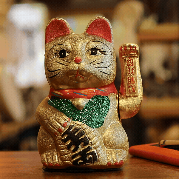 Moyen Chat Chinois