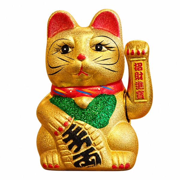 Moyen Chat Chinois